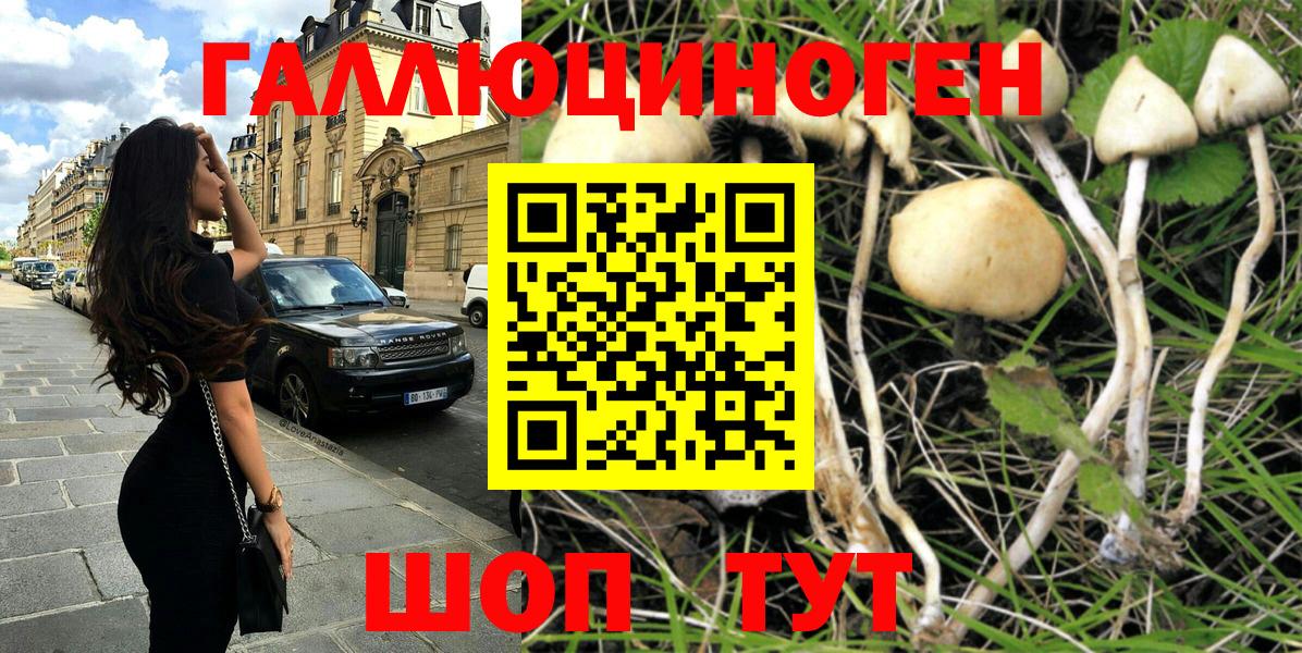 Галлюциногенные грибы Psilocybe  Галлюциногенные грибы GOLDEN TEACHER  Ачхой-Мартан 