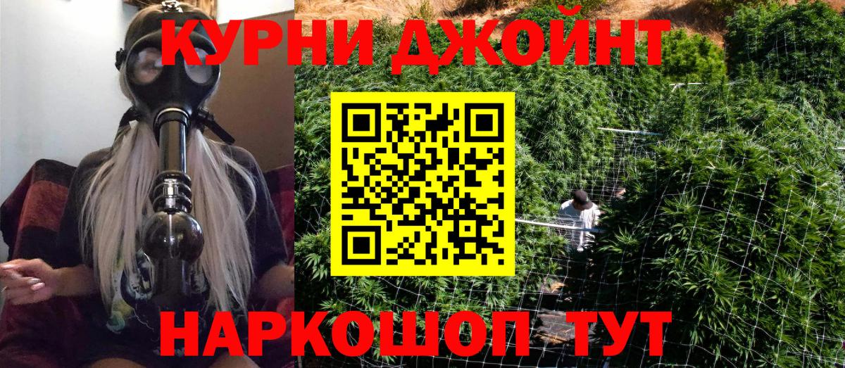 Каннабис OG Kush  Шишки марихуана план  Ачхой-Мартан  Вход с VPN  Каннабис конопля 